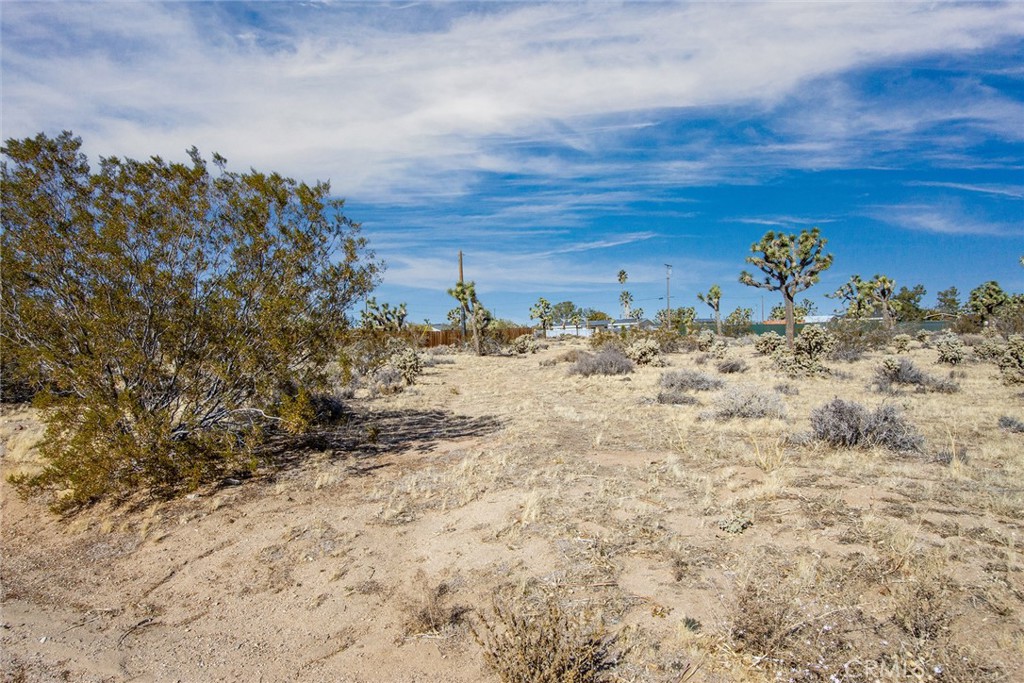 MLS #JT23226450 image #15