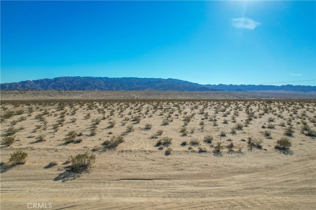 MLS #JT24001129 image #19