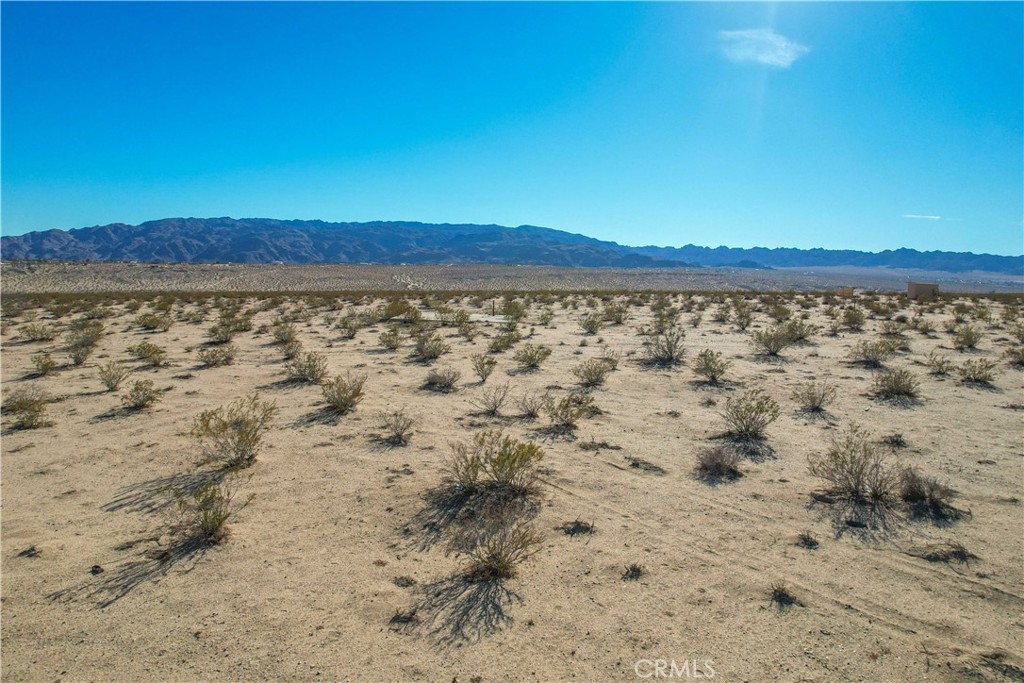 MLS #JT24001129 image #21