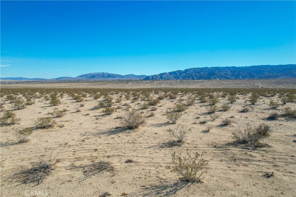 MLS #JT24001129 image #27