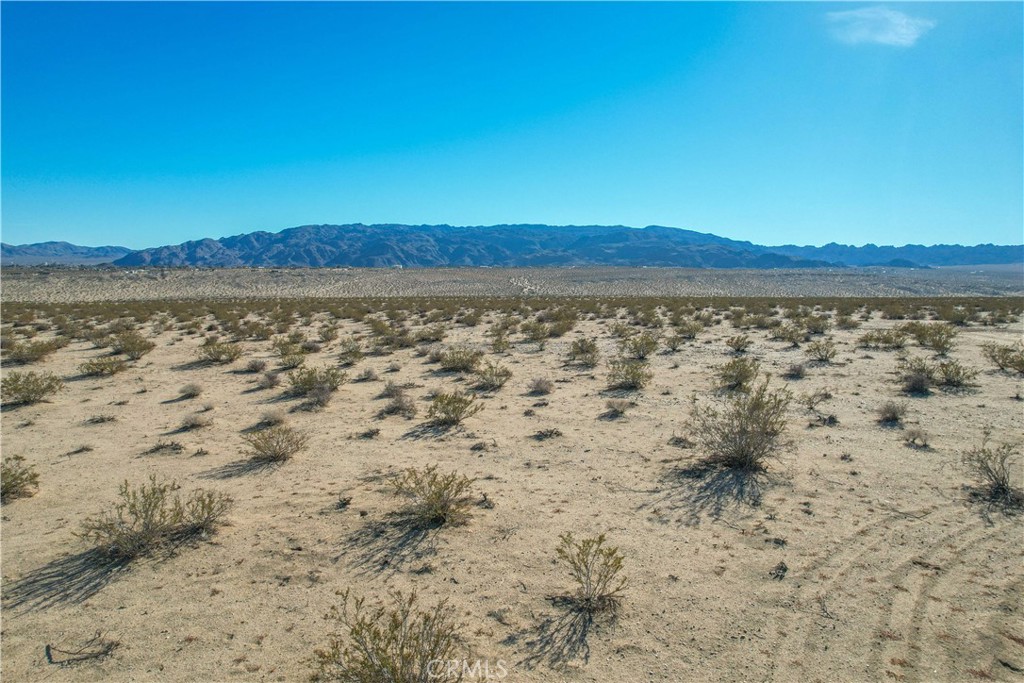 MLS #JT24001129 image #28