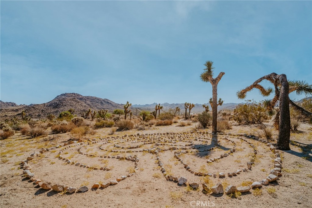 MLS #JT24001300 image #30