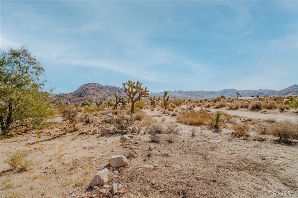 MLS #JT24001300 image #33