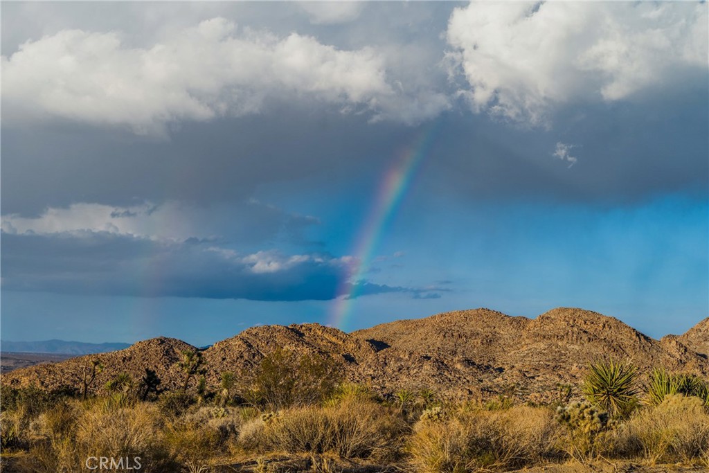 MLS #JT24001300 image #35