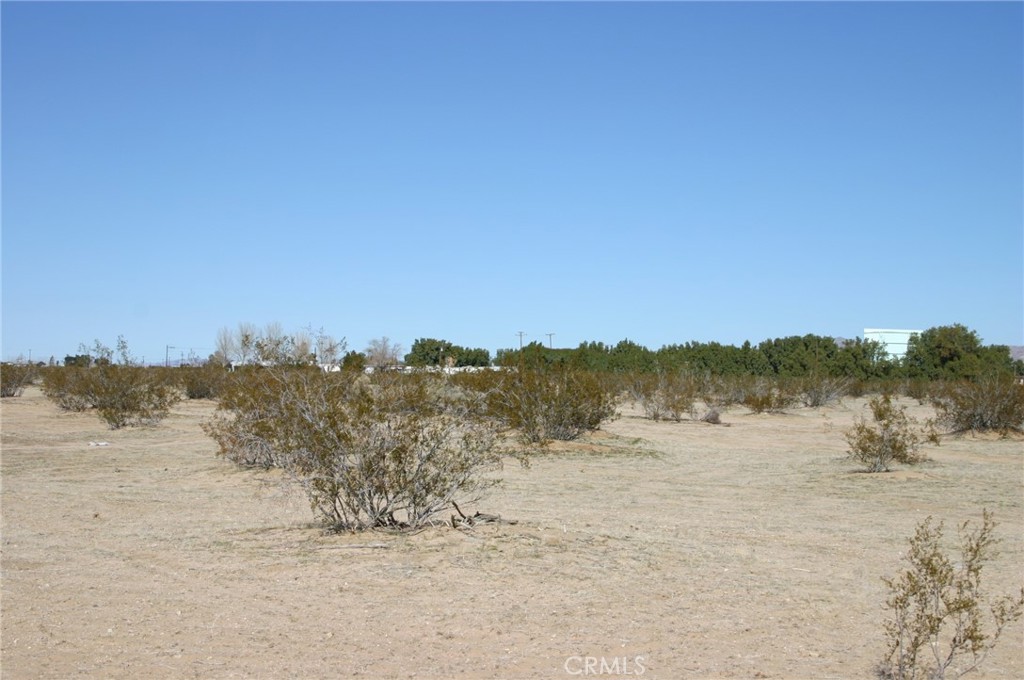 MLS #JT24003463 image #3