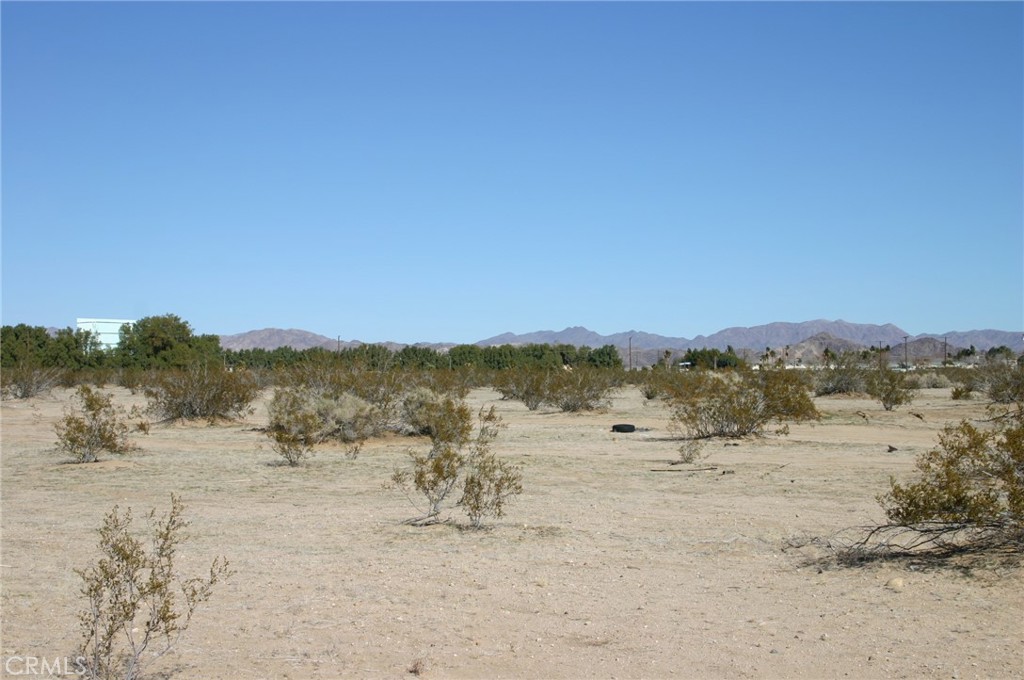 MLS #JT24003463 image #4