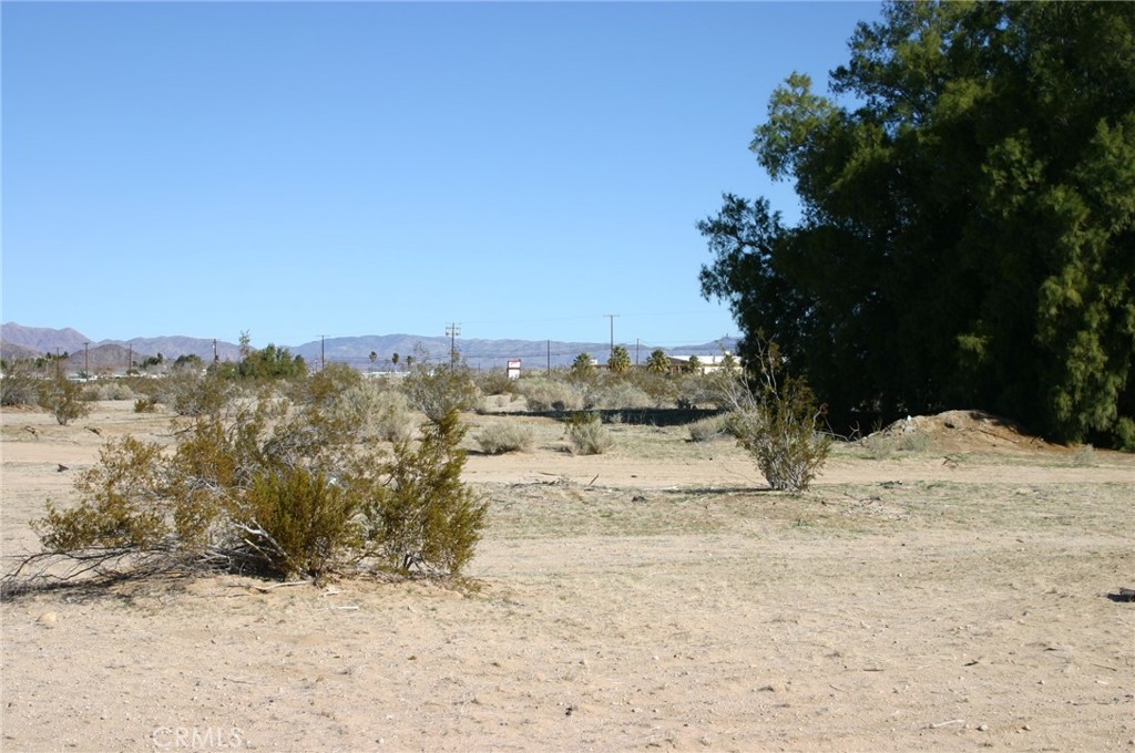 MLS #JT24003463 image #5