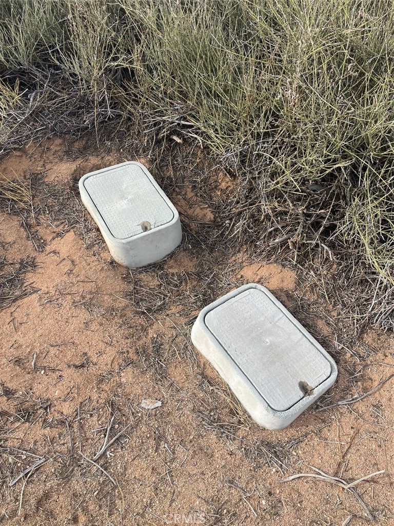 MLS #JT24007447 image #13