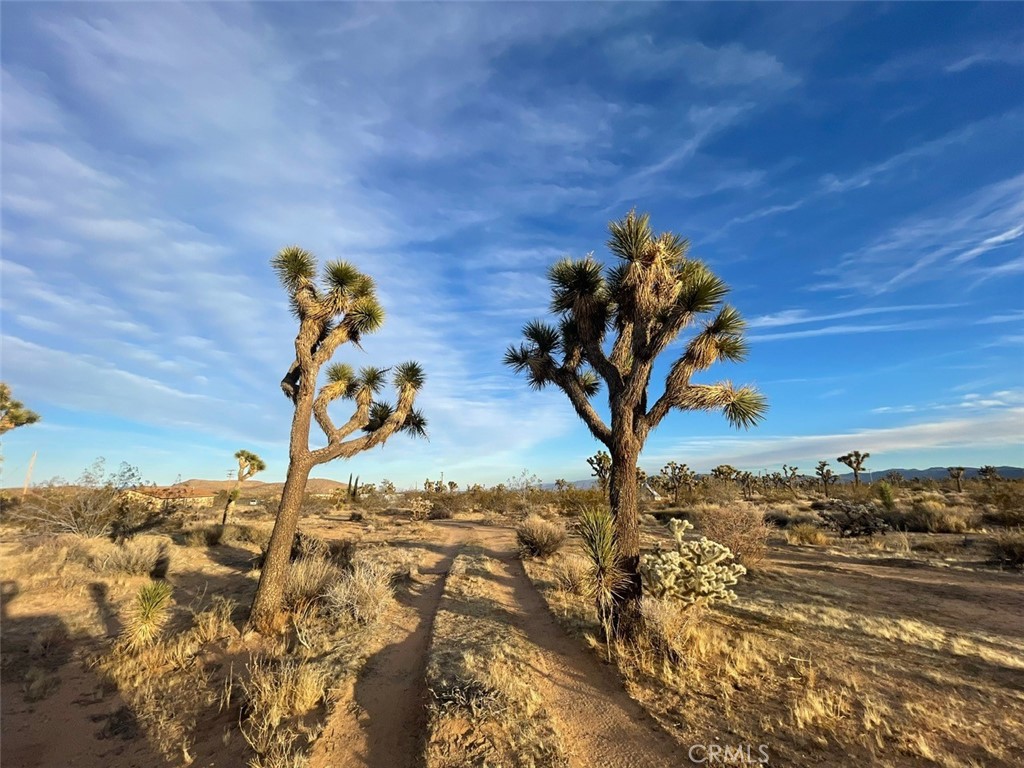 MLS #JT24007447 image #14