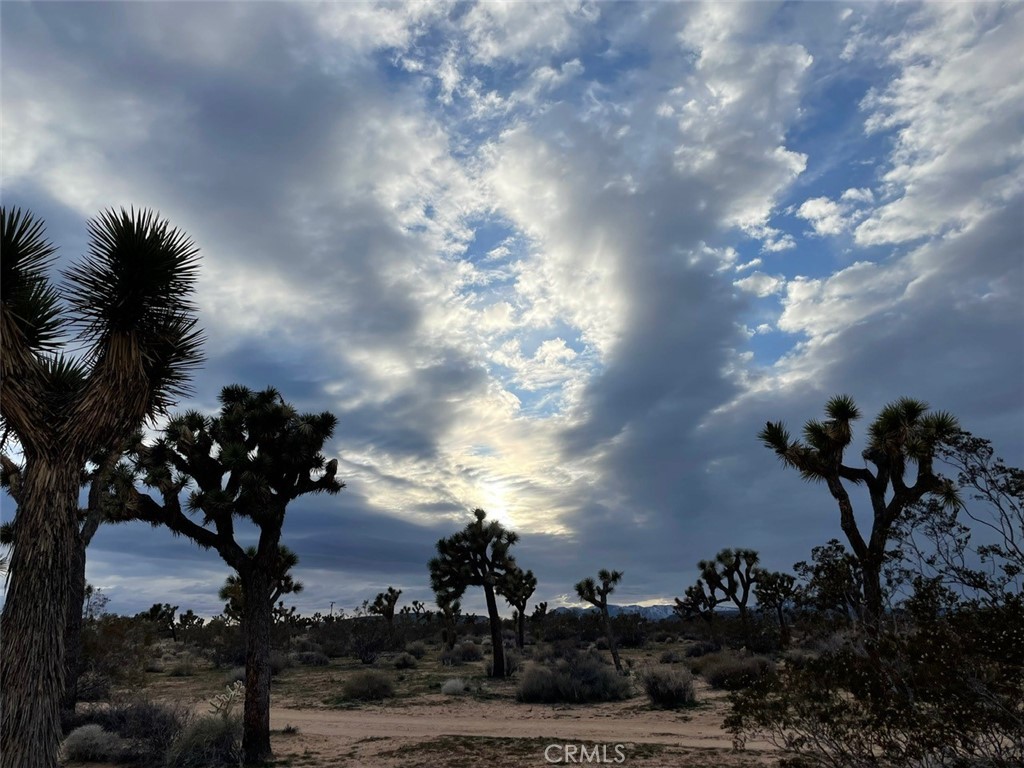 MLS #JT24007447 image #15