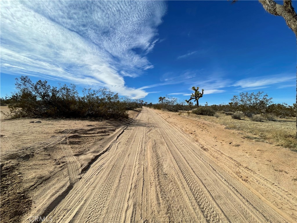 MLS #JT24007447 image #17