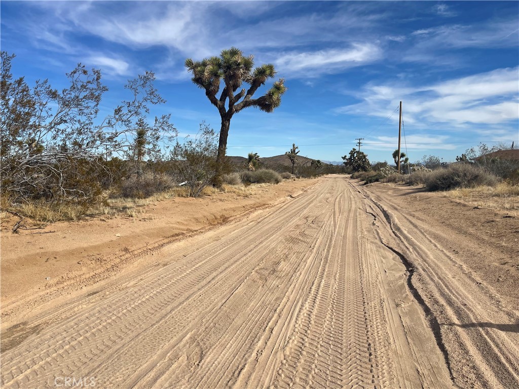 MLS #JT24007447 image #18