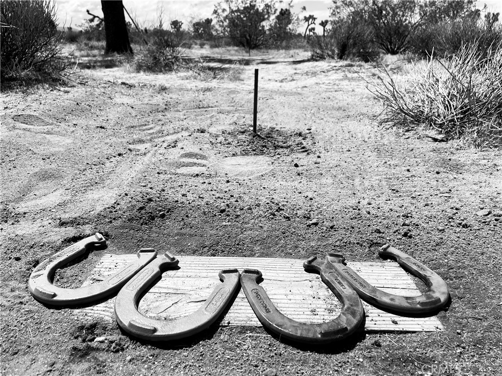 MLS #JT24007447 image #19