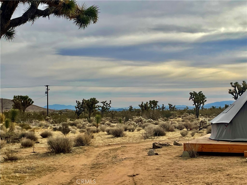 MLS #JT24007447 image #7