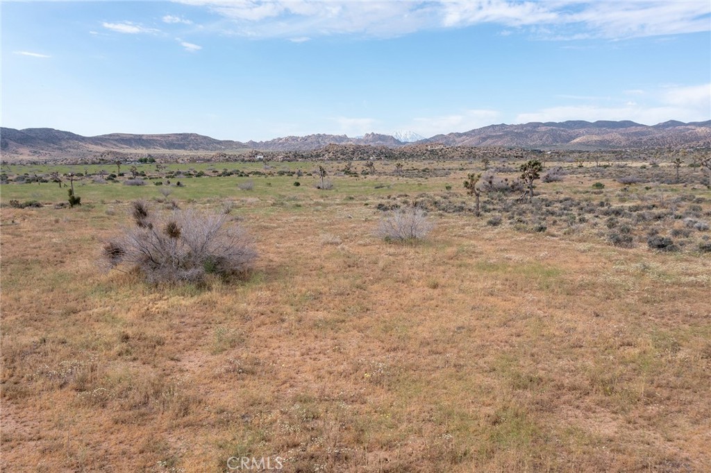 MLS #JT24022948 image #16