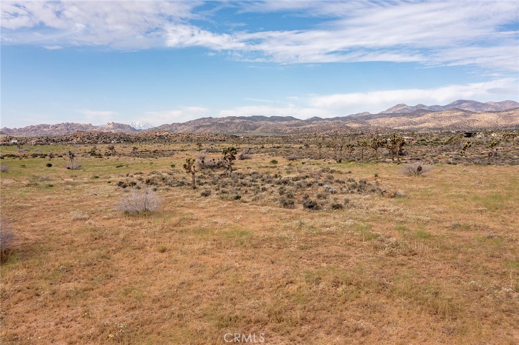 MLS #JT24022948 image #20