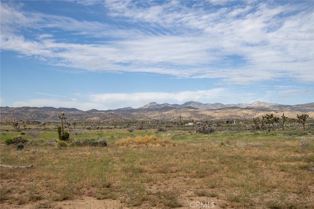 MLS #JT24022948 image #21