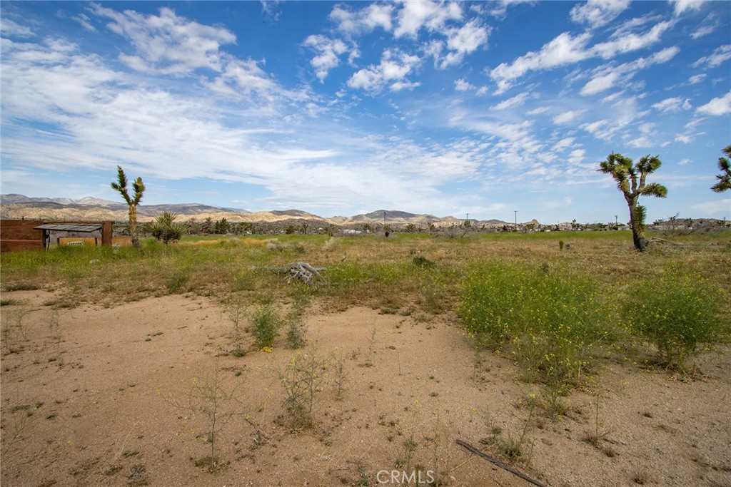 MLS #JT24022948 image #22