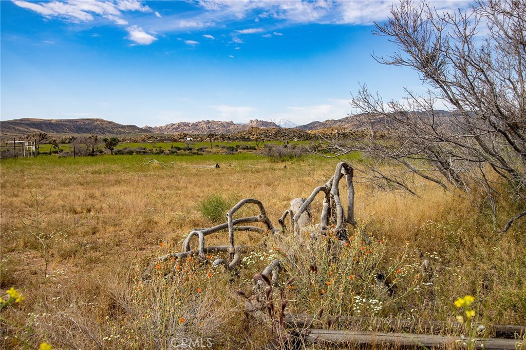 MLS #JT24022948 image #4