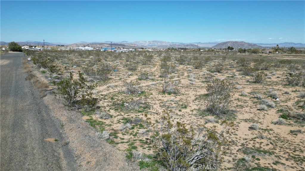 MLS #JT24040105 image #3