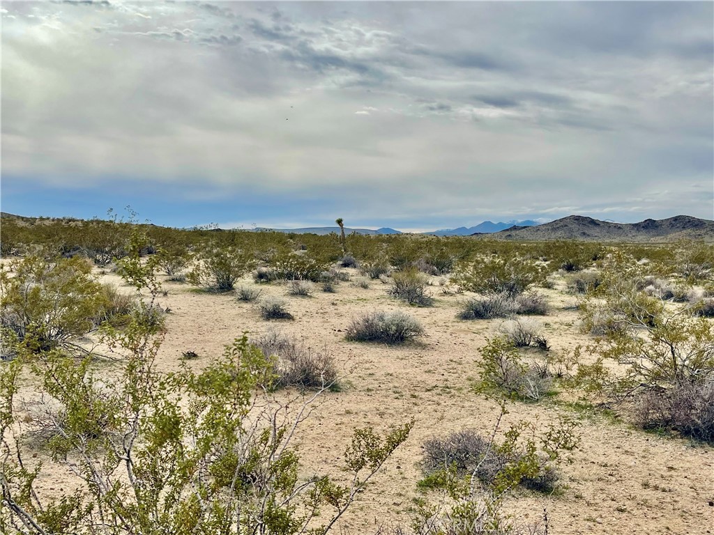 MLS #JT24040611 image #1