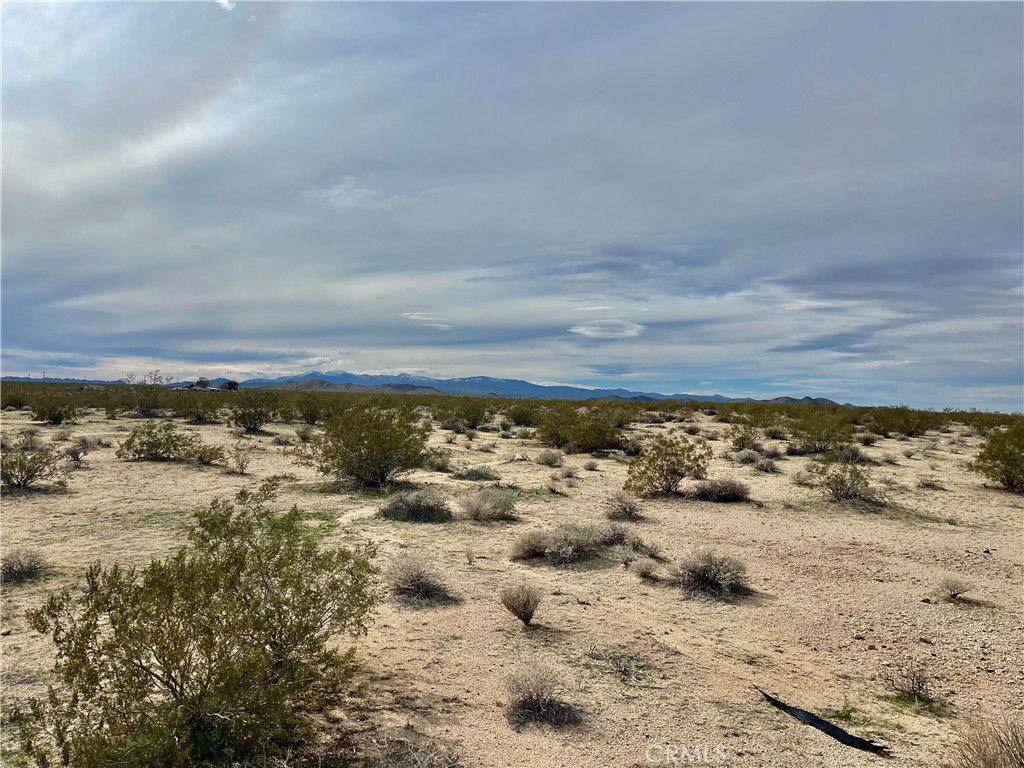 MLS #JT24040611 image #10