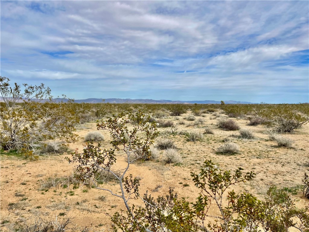 MLS #JT24040611 image #2