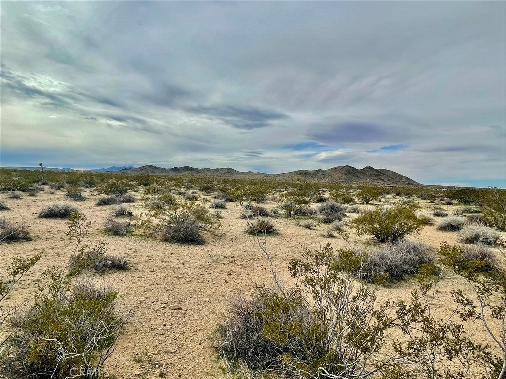 MLS #JT24040611 image #3