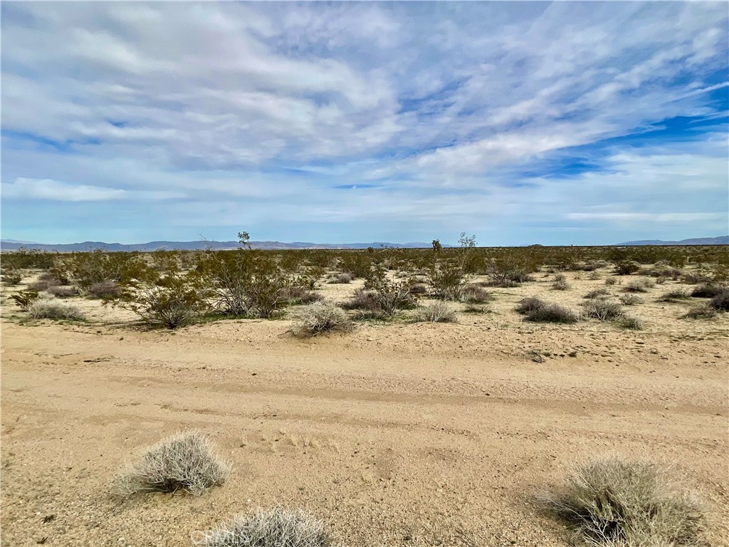 MLS #JT24040611 image #4