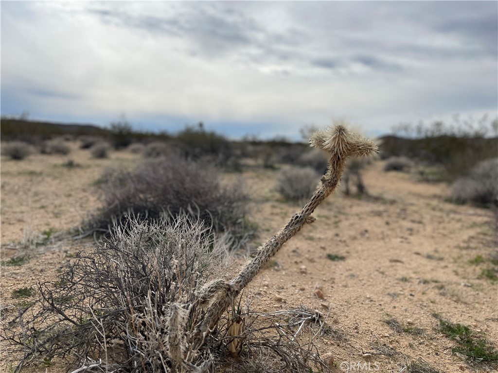 MLS #JT24040611 image #5