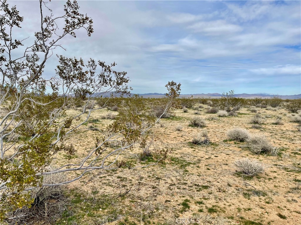 MLS #JT24040611 image #7