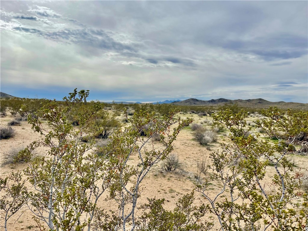 MLS #JT24040611 image #8