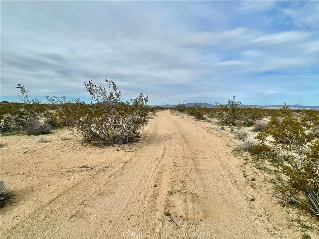 MLS #JT24040611 image #9