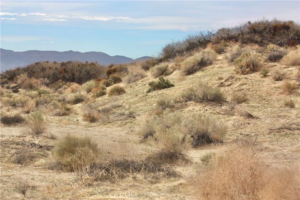 MLS #JT24044919 image #16