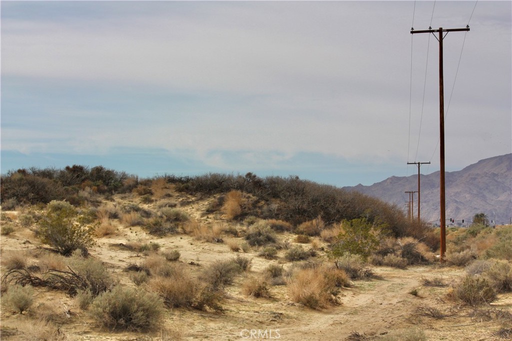 MLS #JT24044919 image #17