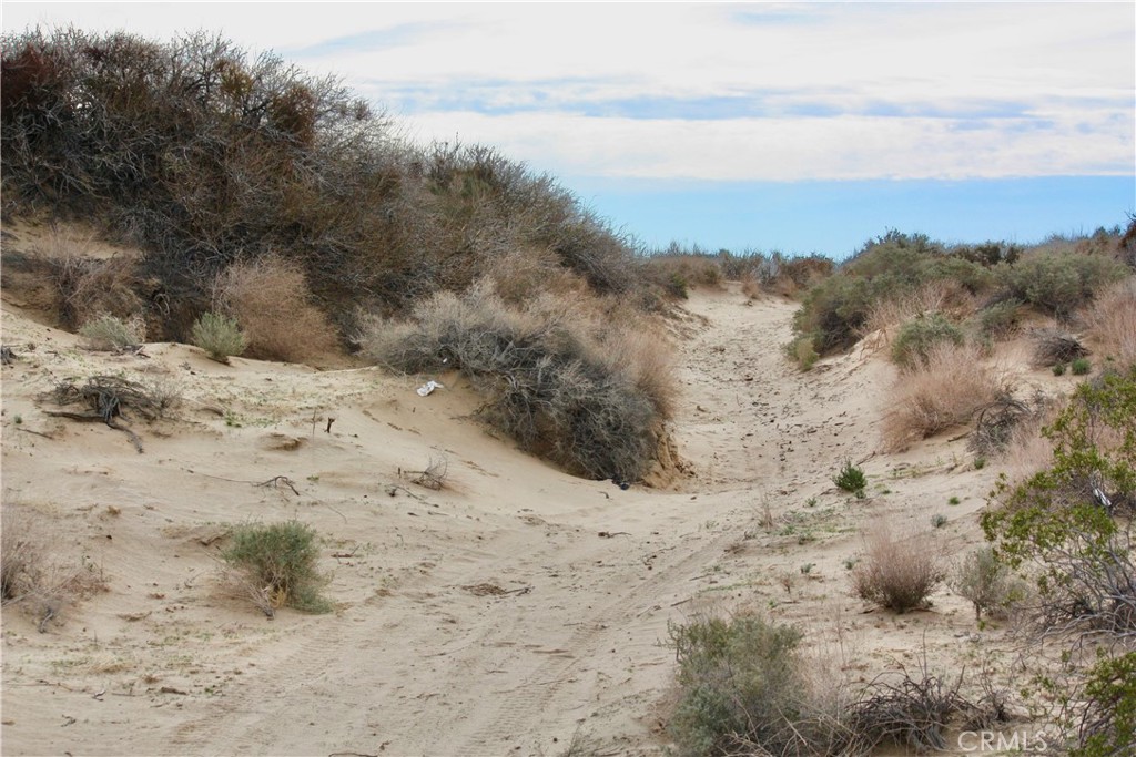 MLS #JT24044919 image #18