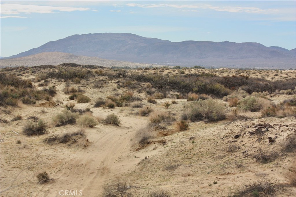 MLS #JT24044919 image #19