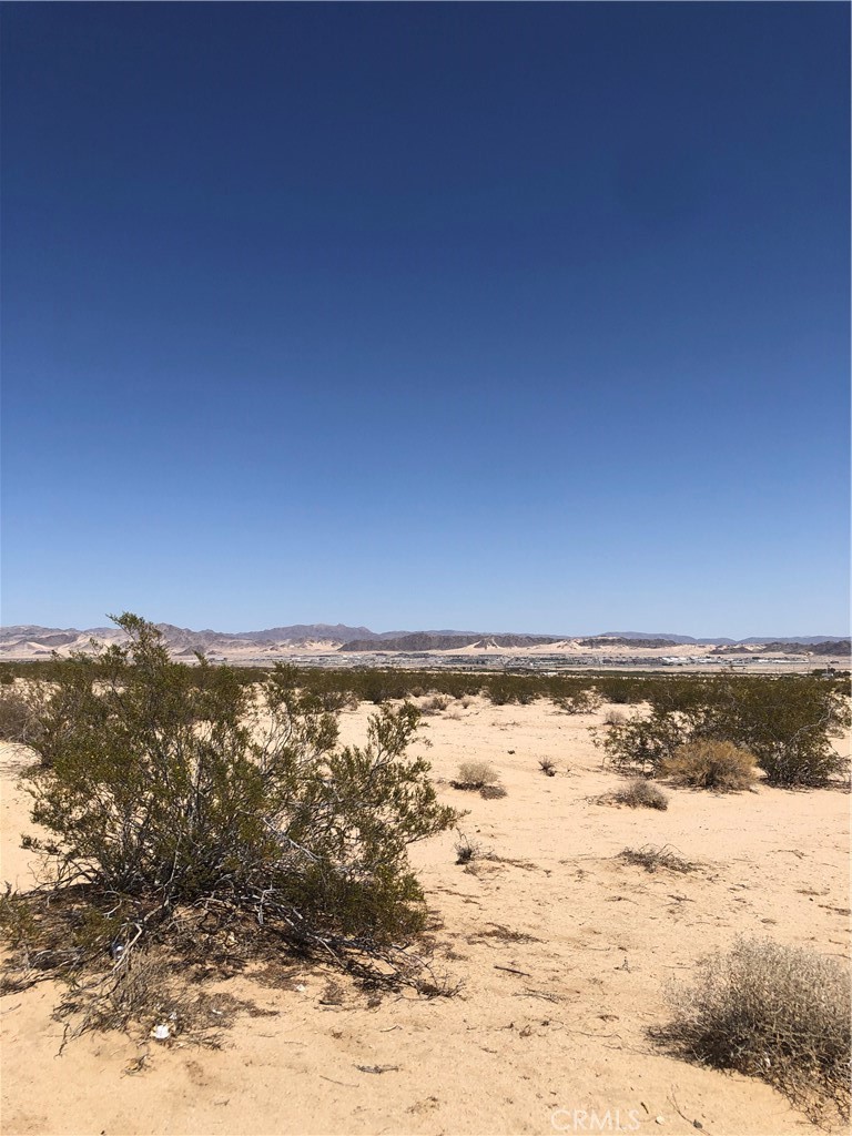 MLS #JT24047080 image #1