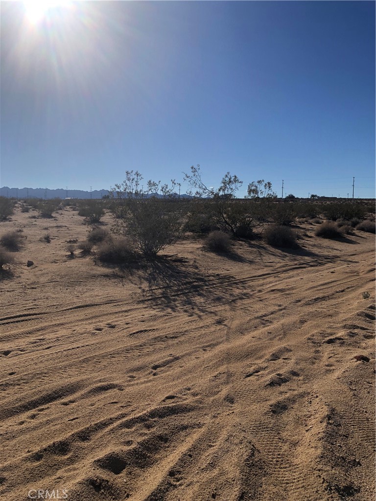 MLS #JT24047080 image #7