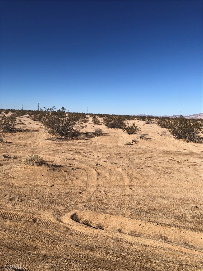 MLS #JT24047080 image #8