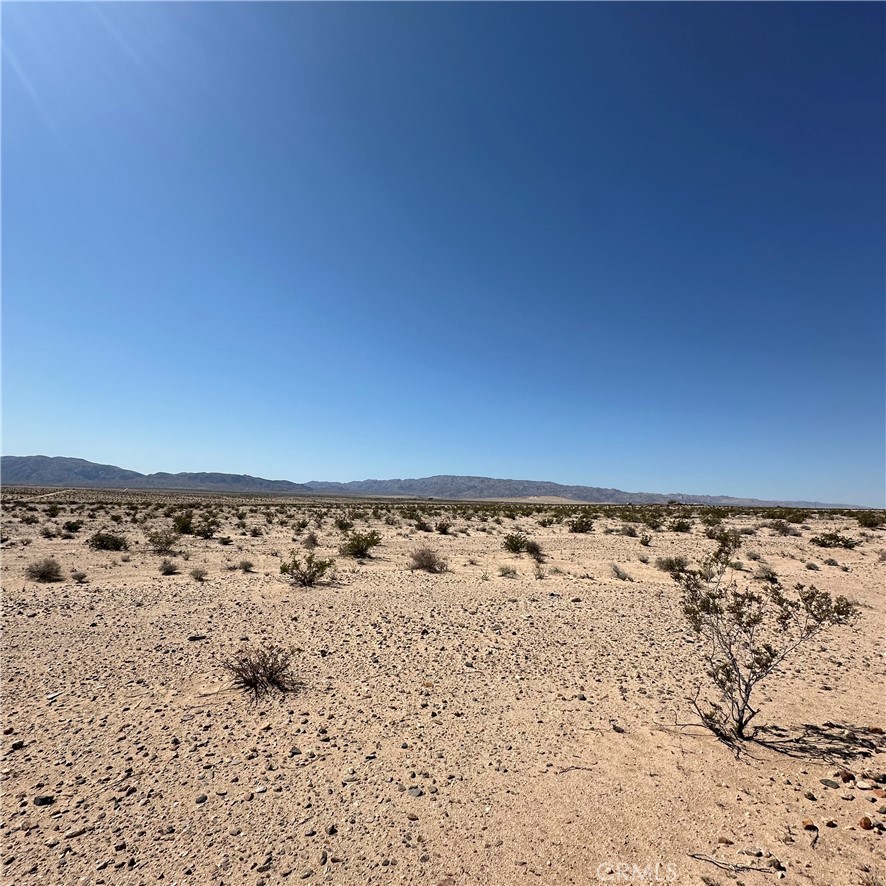 MLS #JT24054386 image #1