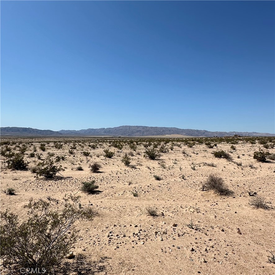 MLS #JT24054386 image #3