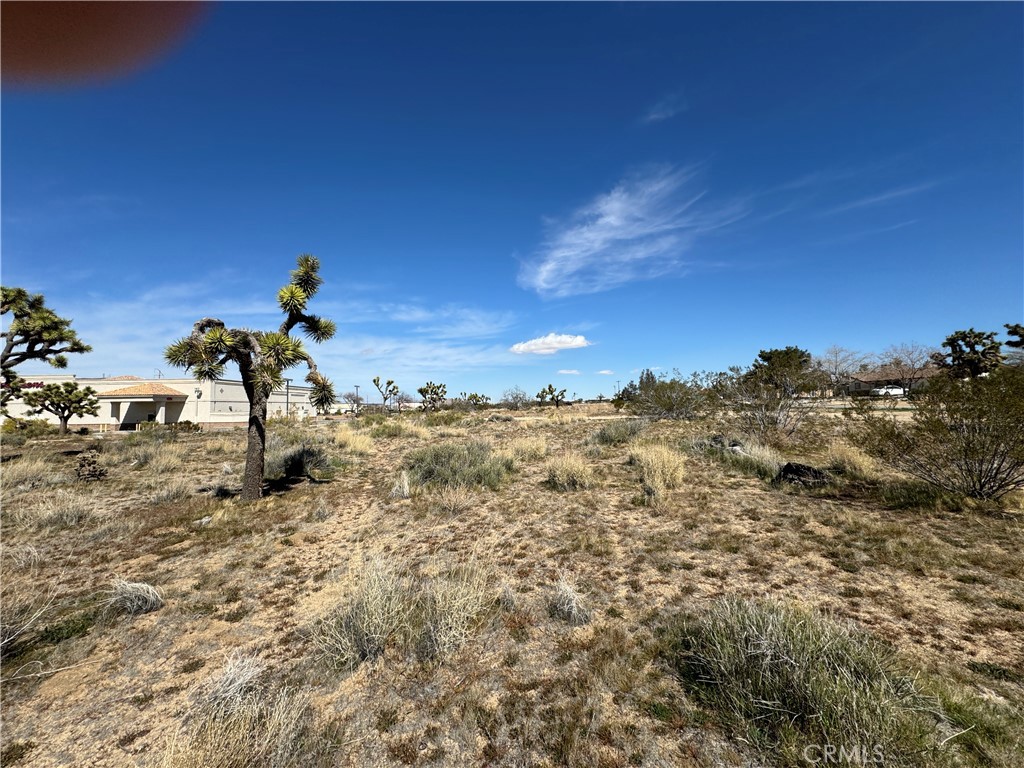 MLS #JT24059293 image #2