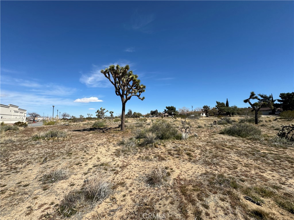 MLS #JT24059293 image #3