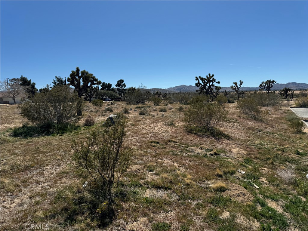 MLS #JT24059293 image #4