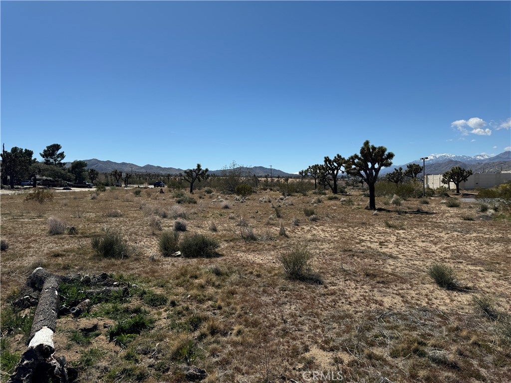 MLS #JT24059293 image #5