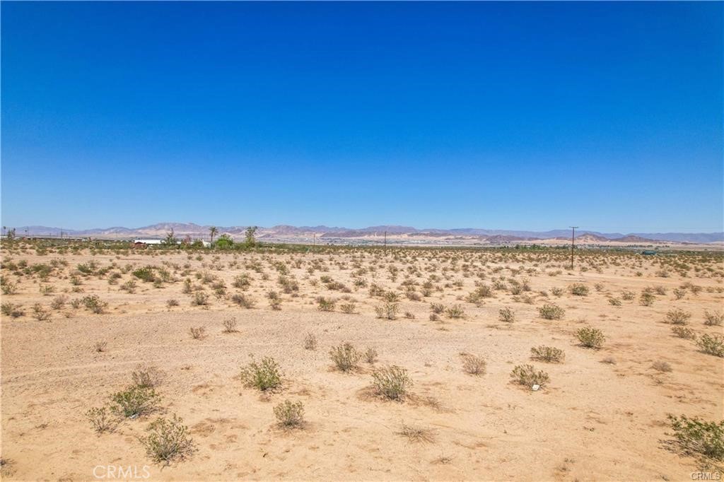 MLS #JT24060723 image #10