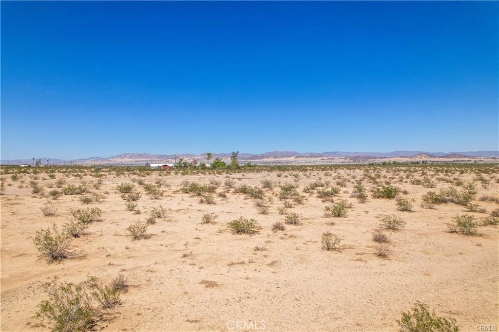 MLS #JT24060723 image #11