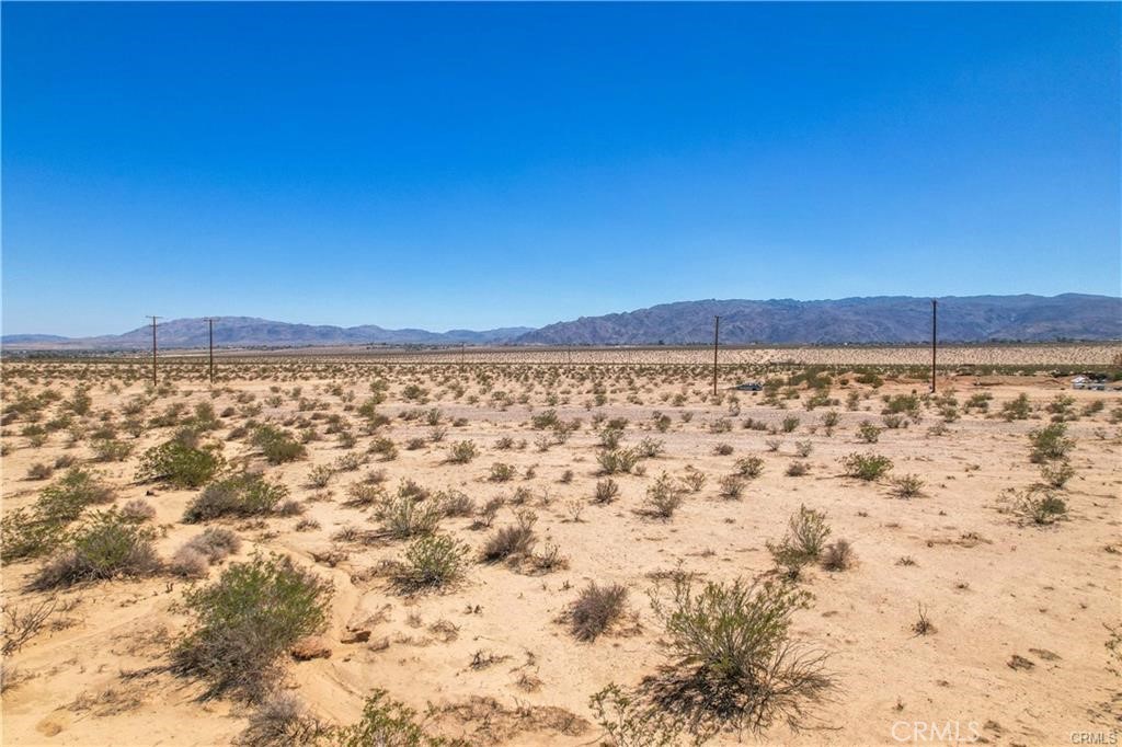 MLS #JT24060723 image #12