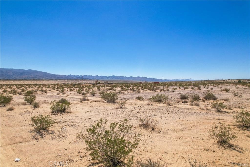 MLS #JT24060723 image #13